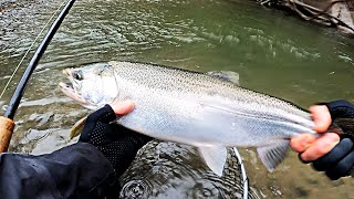 The Best Day Fishing For Coho On The River With Spoons!