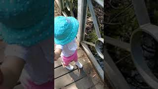 Nature Walk in Australia: Fun Activity With A Toddler #1 #shorts