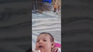 Lucy bua ki laado#Baby #papagirl #babygirl #doglover #care#love #like #share #shortvideo #subscribe