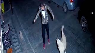 Drunk Guy Dance with Street Dog in The Street #dogsofyoutube