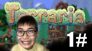 Играю в Terraria