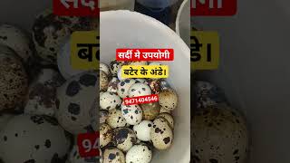 बटेर के अंडे। bater eggs. desi eggs, KADAKNATH eggs, ffg, rir, banraja.