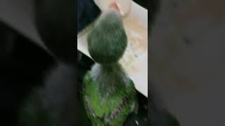 Say MASHALLAH ❤️ #viralvideo #birds #unfezzmyaccount #btsmember #parrot #pleaseunfrezzemyaccount