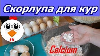 Скорлупа для кур