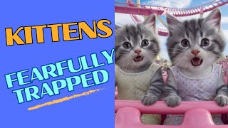 Kitten's First Rollercoaster Disaster!