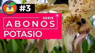 Serie Abonos Parte 3 | POTASIO