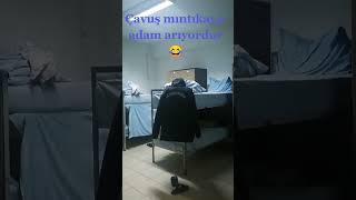 çavuş mintikaya adam arıyor