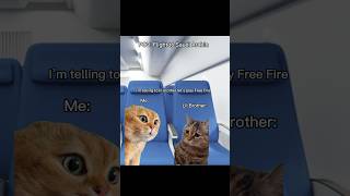 POV: Flight to Saudi Arabia with Family / Roadtrip with Family Cats Meme #shorts #shortvideo #cat