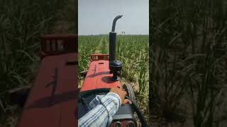 farming pakka Karobar#tractor #mahindra #framing#short  #shortvideo #shorts