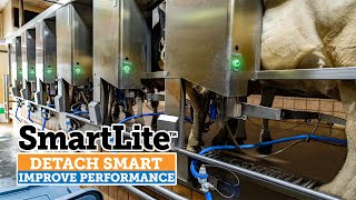 SmartLite, Smarter Detaching - R&E Dairy Farm, Wisconsin (English)