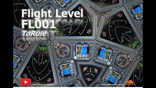 ToRule - Flight Level - FL001 (Pilot's Eye View)