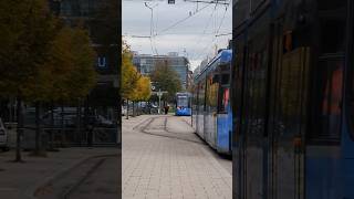 Fahrschul-Tram am Westfriedhof