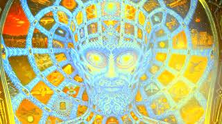 Terence McKenna - Alien Intelligence from another Dimension