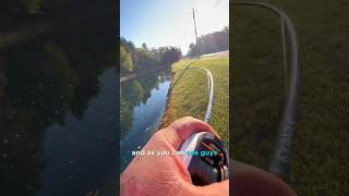 Fishing A private pond #shorts