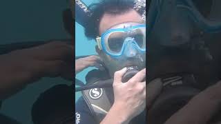 Scuba diving at Andaman Nicobar island #shorts