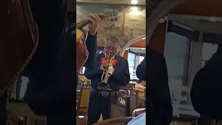 mariachi providencia, muy recomendado