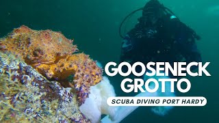 SCUBA Diving Port Hardy | The Gooseneck Grotto