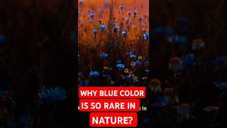 Why blue color is so rare in nature?  #facts #science #blue #nature #mystery