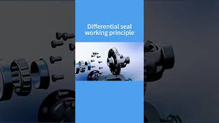 Mastering Differential Seals: The Pressure Balance Act! 🔧💪