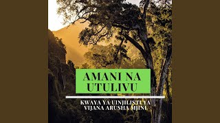 Amani Na Utulivu