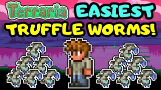 EASIEST TERRARIA TRUFFLE WORM FARM! Simple Truffle Worm Farm Design! Beginner Guide Step By Step!