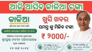 Kalia Yojana Big Update 11 March 2024 । kalia Money Credit Today। SJ SusanTech