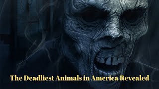 7 Most Dangerous Creatures in America [Shocking]