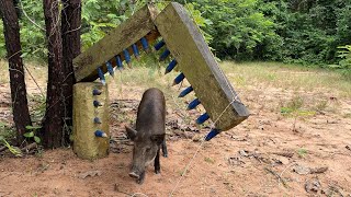 Best Creative Wild Pig Trap Using Big Wood #animaltrap #shortvideo