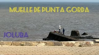 PESCA DEL “SEBA” EN EL MUELLE DE PUNTA GORDA!!!