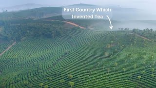 First Country To Invent Tea Accidently!