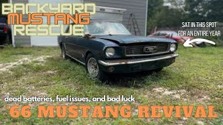 Mustang Revival RUNS after a year