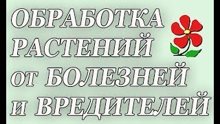 Обработка сада от болезней и вредителей.