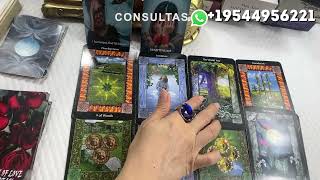 ESTÁ SITUACIÓN CONTIGO NO LA SOPORTO MÁS! ME ESTOY MURIENDO EN VIDA😩#viralvideo #video #tarot#parati