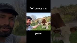 מה קרה - בקרה