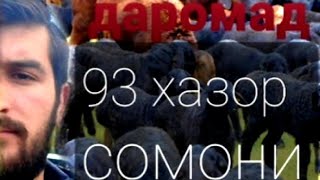 ЧОРВОДОРИ ГУСФАНД 93 000 сомони даромад БИЗНЕС дар Точикистон