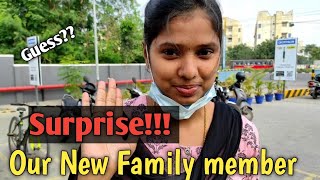 Surprise!!! Our New family member?? Decathlon Vlog | Galatta couples