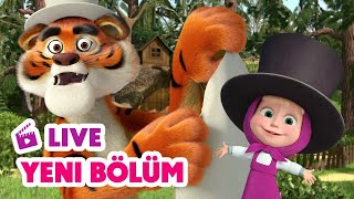 🔴 LIVE! Maşa İle Koca Ayı | 🥳 Yeni bölüm | 🪄 Numaralar 🧙🐯 | Masha and the Bear