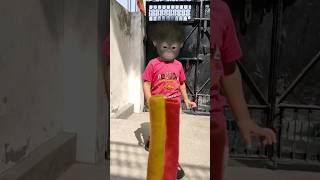 baby dark monkey funny video 🐵🍌🍫🍭🍼😋😂😅🤣#shortvideo #monkeybaby #funny #dance #aaryavnaagar #monkey