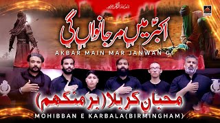 Akbar Mein Mar Jawan Gi - Muhibaan E Karbala Party | Vichora Bibi Sughra Sa