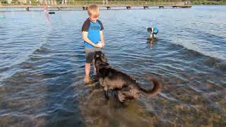 Teaching the boy to teach the dog.