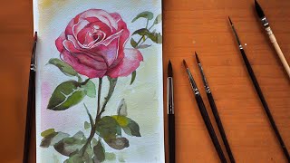 How to Draw a Rose with WaterColour for Beginners