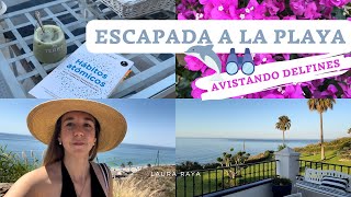 Un FIN DE SEMANA CONMIGO y DELFINES desde CASA | Restaurante favorito NERJA | NECESITABA DESCONECTAR