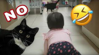 1 Year Old Baby keep chasing a cat - Baby and Cat Funny moment - 2160p