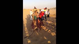 Dubai Desert safari | camel. Ride | camel very angry if open mouth it will bite #zoomglobal