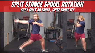 Split Stance Spinal Rotation - Gary Gray 3D Maps, Spine Mobility