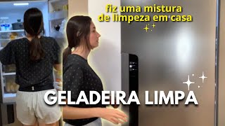 COMO LIMPEI MINHA GELADEIRA | Limpeza & Organização - Vanessa Cussô