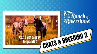 Coat Chronicles Pt. 2: Breeding for the Gray Appaloosa Pattern- The Ranch of Rivershine