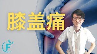 所有膝盖痛的人一定要看完！ |【退化性关节炎】花生健康医药 EP158