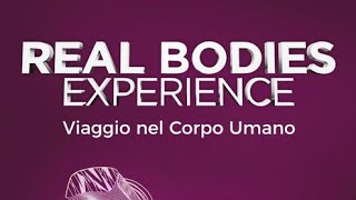 Real bodies, da vedere!