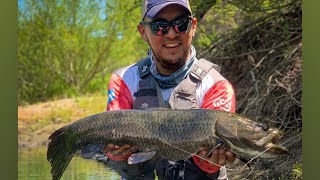 Pescando Tarariras en Kayak